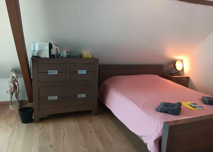 Quartier Leonard Bed and Breakfast Gent